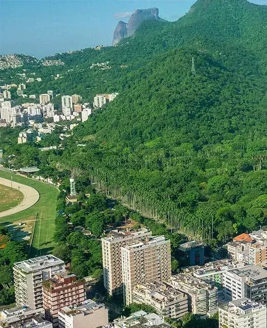 Lançamento Jardim Botânico 266 — Jardim Botânico